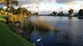 2014-11-30 07.16.57-enh